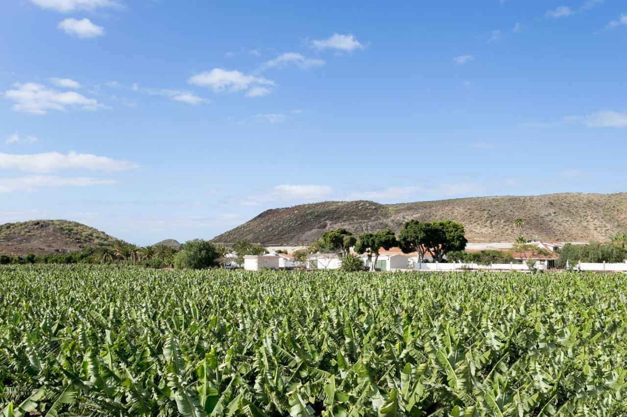 Casita 1, Caserio De Guaza Palm-mar Eksteriør billede