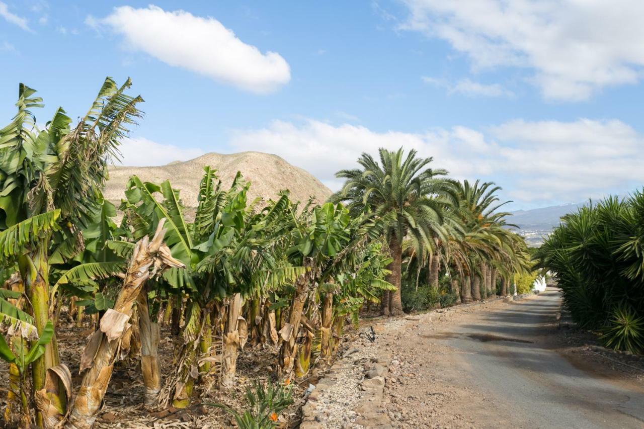 Casita 1, Caserio De Guaza Palm-mar Eksteriør billede