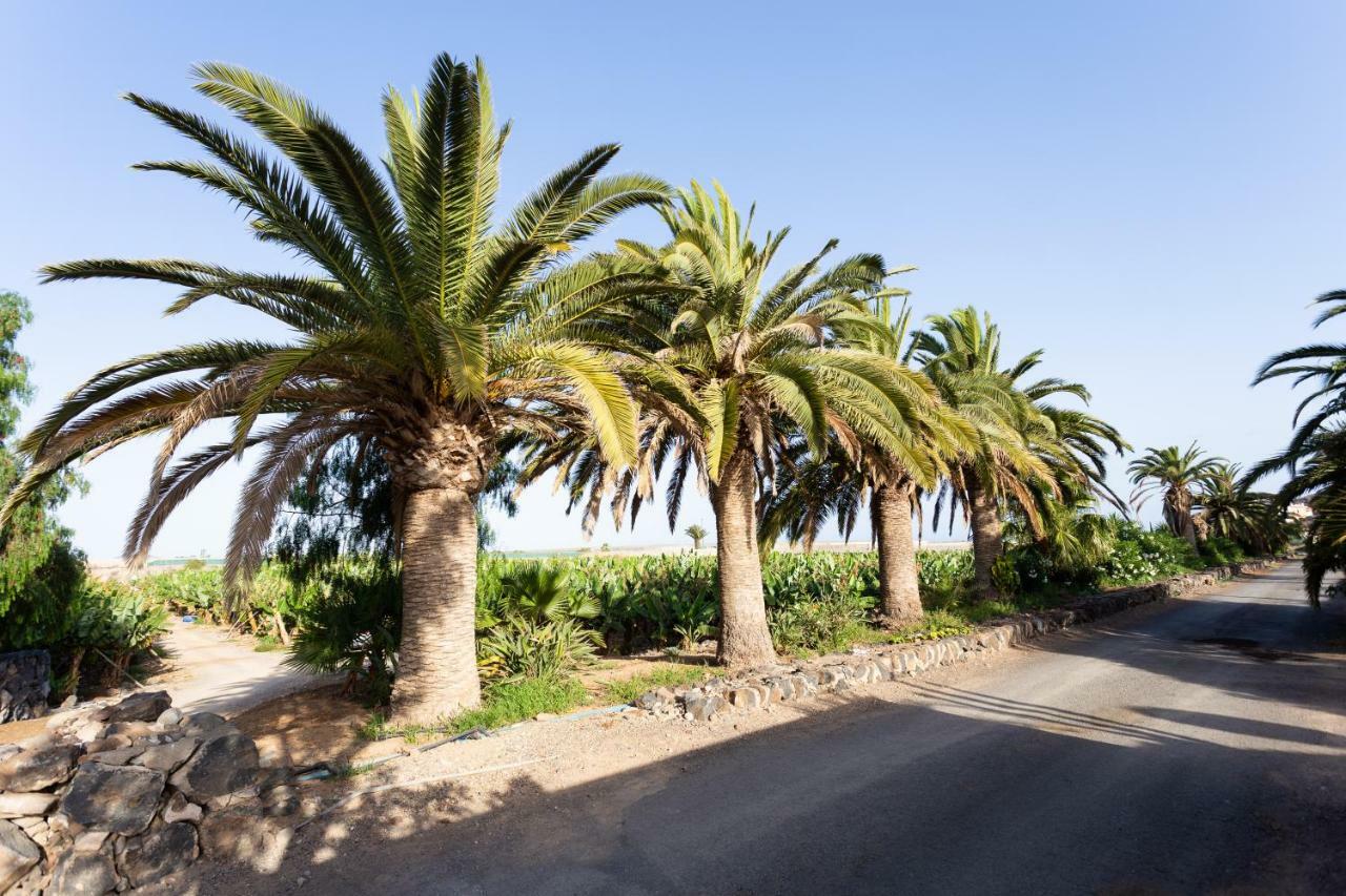 Casita 1, Caserio De Guaza Palm-mar Eksteriør billede